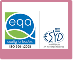 Πιστοποιημένο σύστημα διαχείρησης ποιότητας, ΕΛΟΤ ΕΝ ISO 9001 : 2008